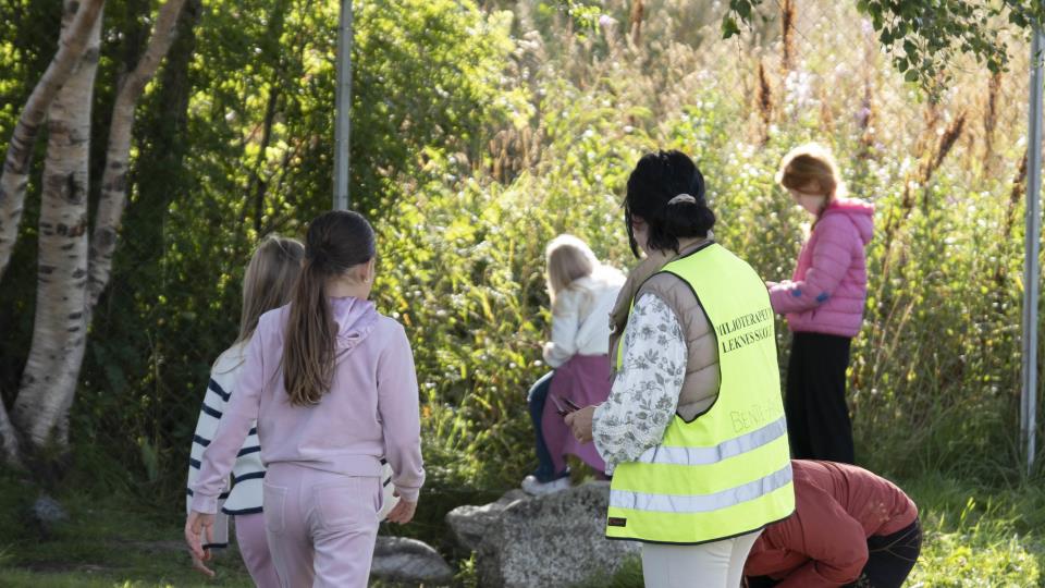 Lenke til artikkel: Åpent møte: Framtidig skolestruktur i Vestvågøy