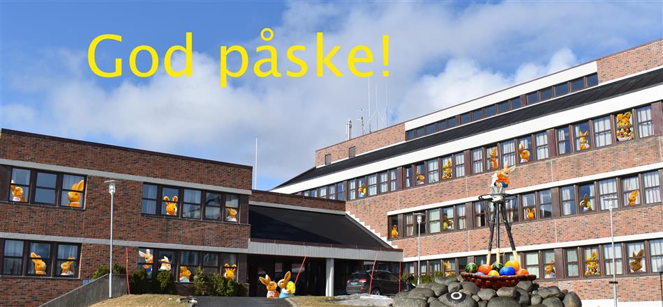 Klikk for stort bilde